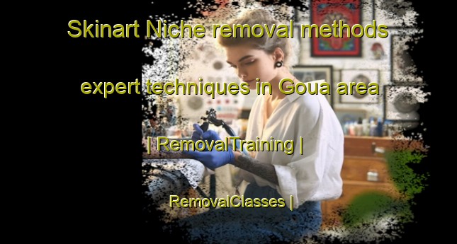 Skinart Niche removal methods expert techniques in Goua area | RemovalTraining | RemovalClasses | SkinartTraining-Benin